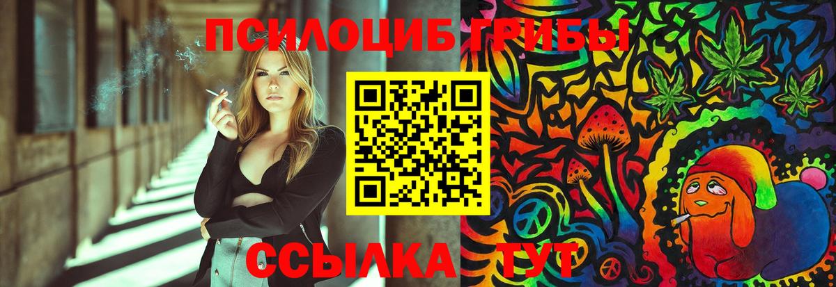 Псилоцибиновые грибы Psilocybine cubensis  Вход с VPN  Истра  Галлюциногенные грибы мицелий 
