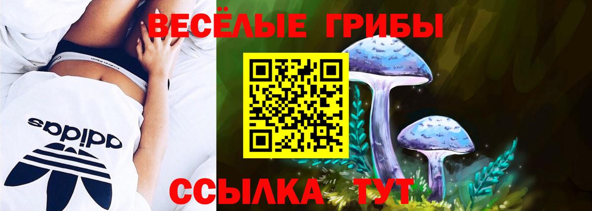 Галлюциногенные грибы мухоморы Истра